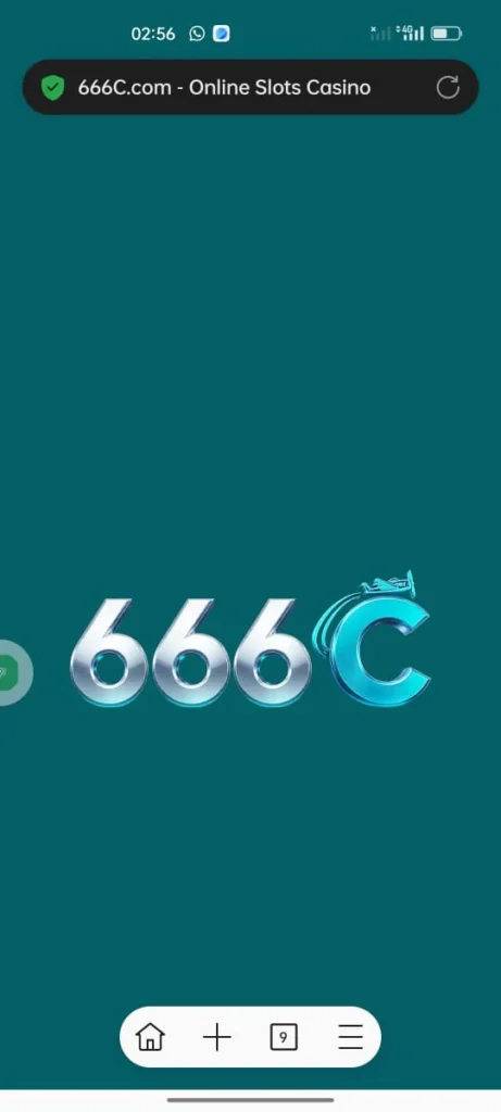 666C Interface